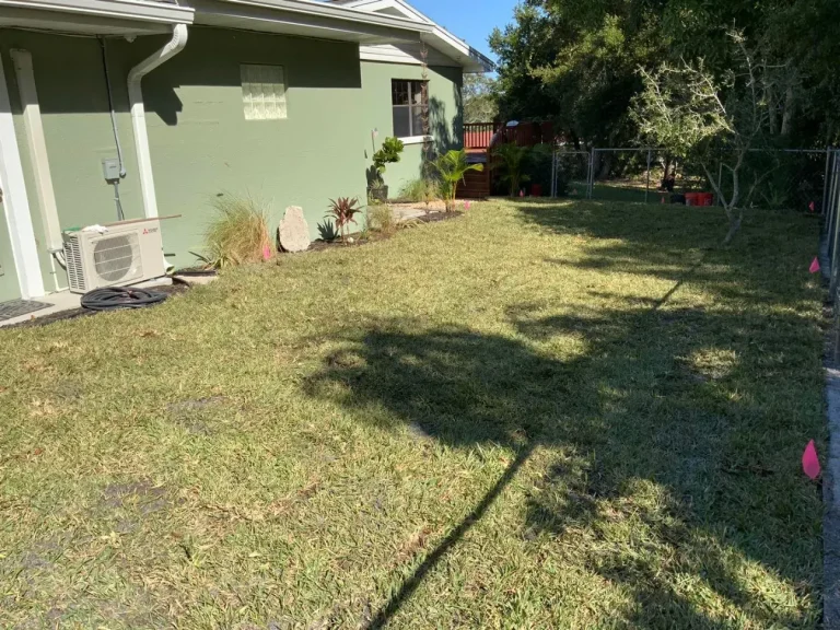 107_2021_12_03__00_44_34_1_original